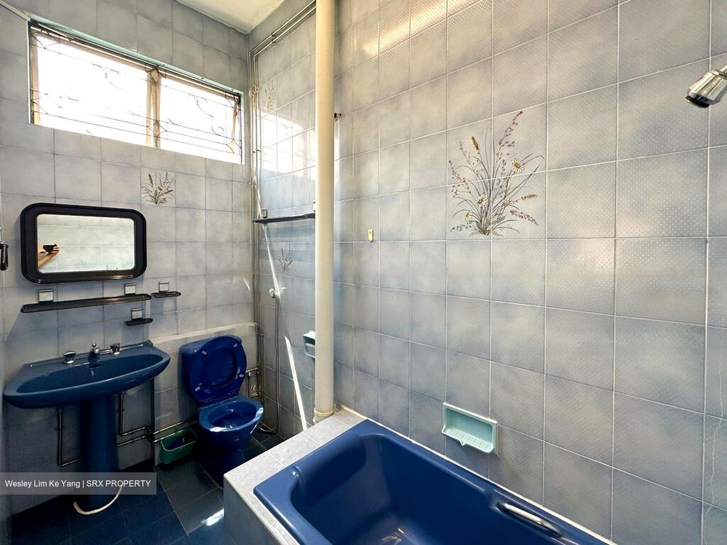 Fengli Gardens (D19), Semi-Detached #473627141